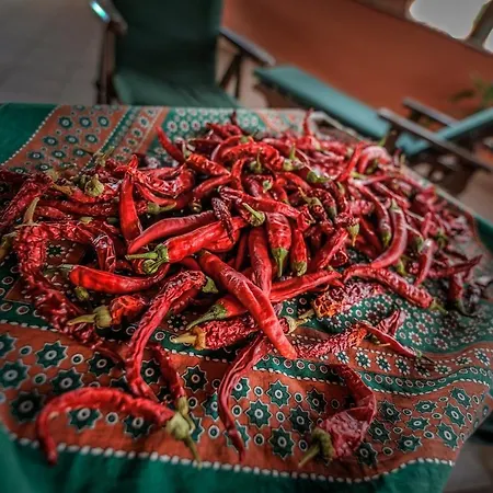 Piccolo טרמיני אימרסה